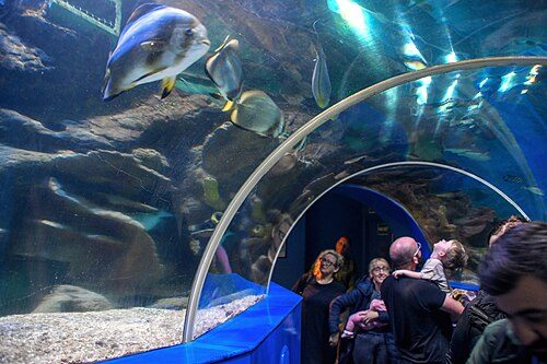 Bristol Aquarium