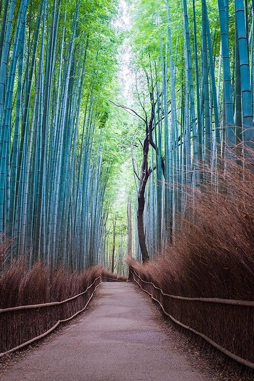 Kyoto