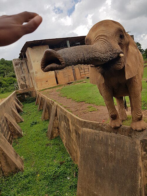 Jos Wildlife Park