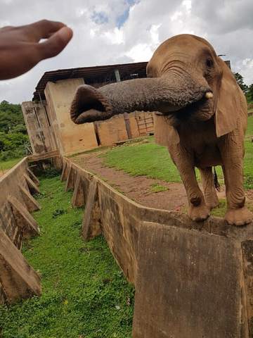Jos Wildlife Park