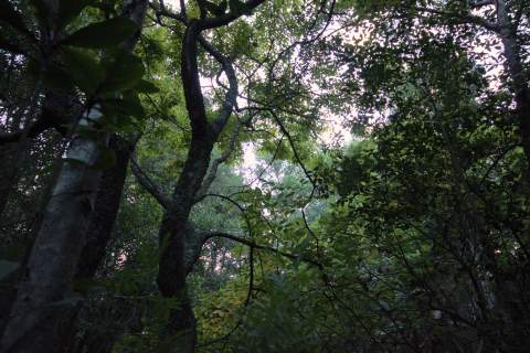 Pledge Nature Reserve