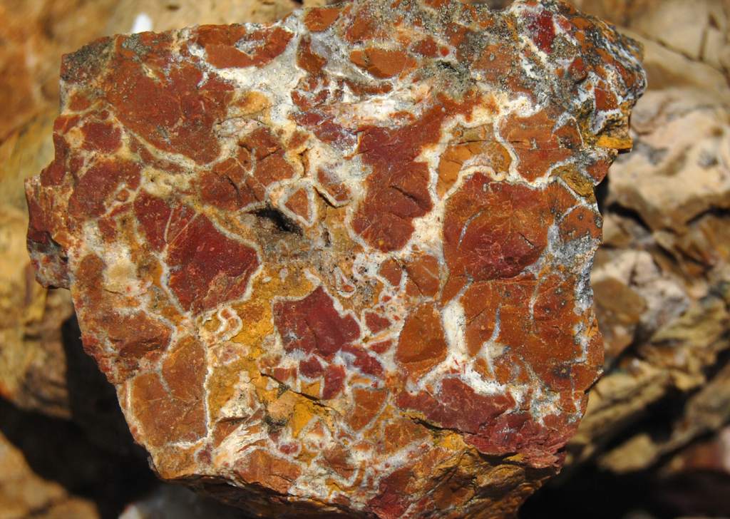 History - Jasper