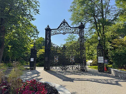 A serene escape in the heart of the city
