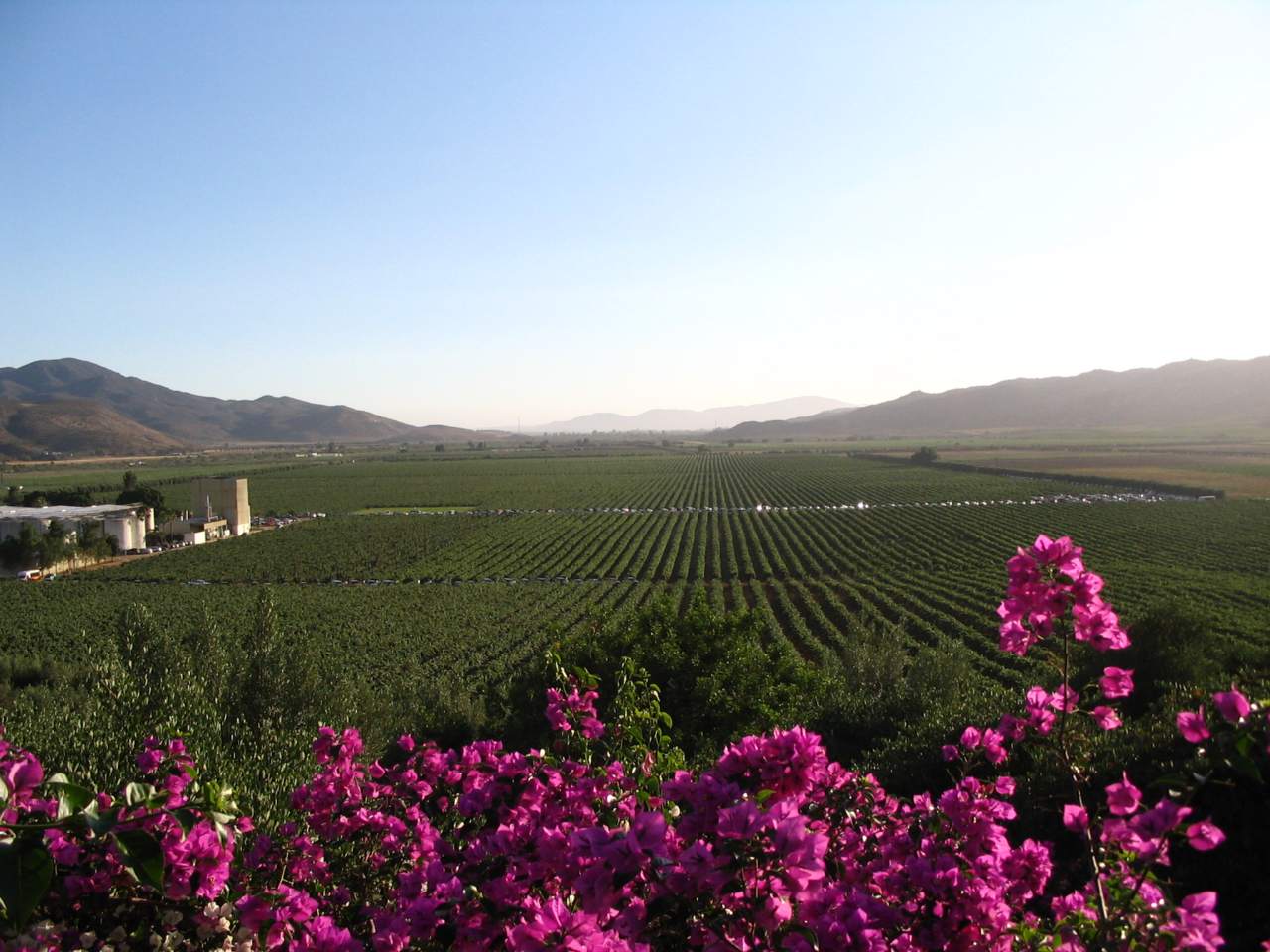 History - Valle de Guadalupe