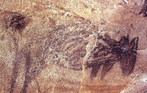 Charcoal drawing of kangaroos in Heathcote National Park