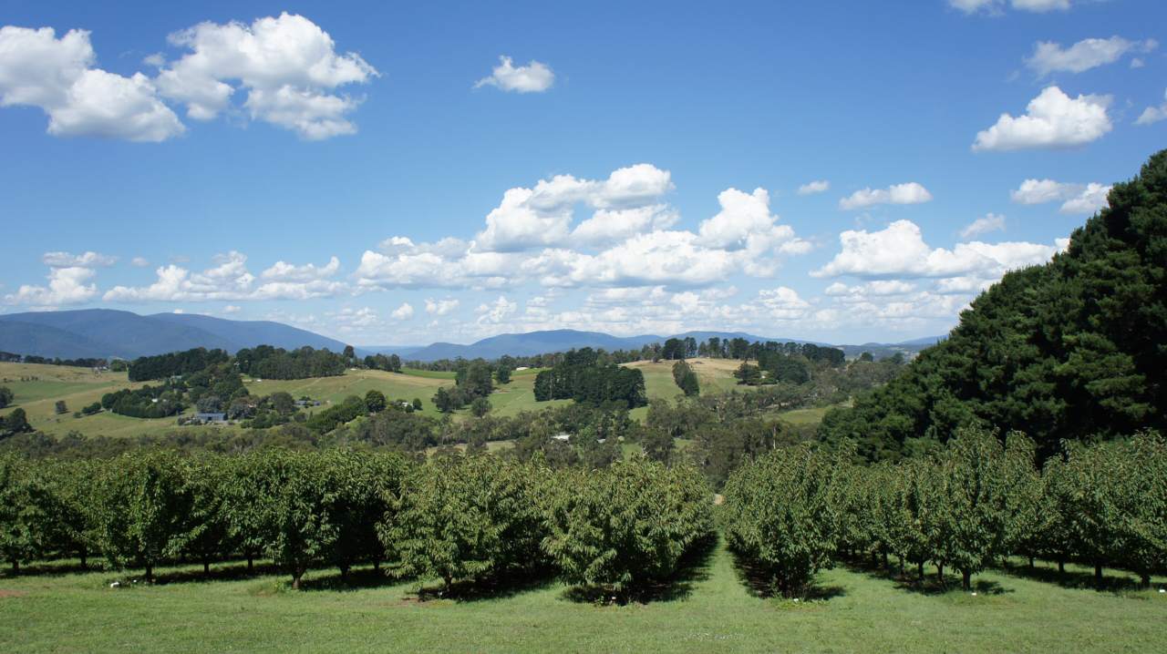 History - Yarra Valley