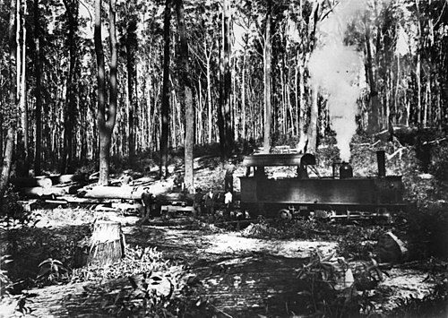 McKenzie's Tramway Locomotive, c. 1920