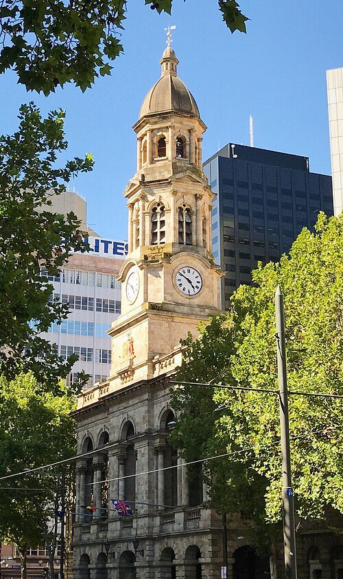 Nature's embrace in the city
