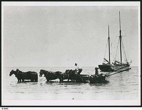 Loading grain from horsedrawn wagons to the ketch Free Selector