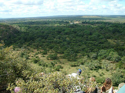 History - South Africa