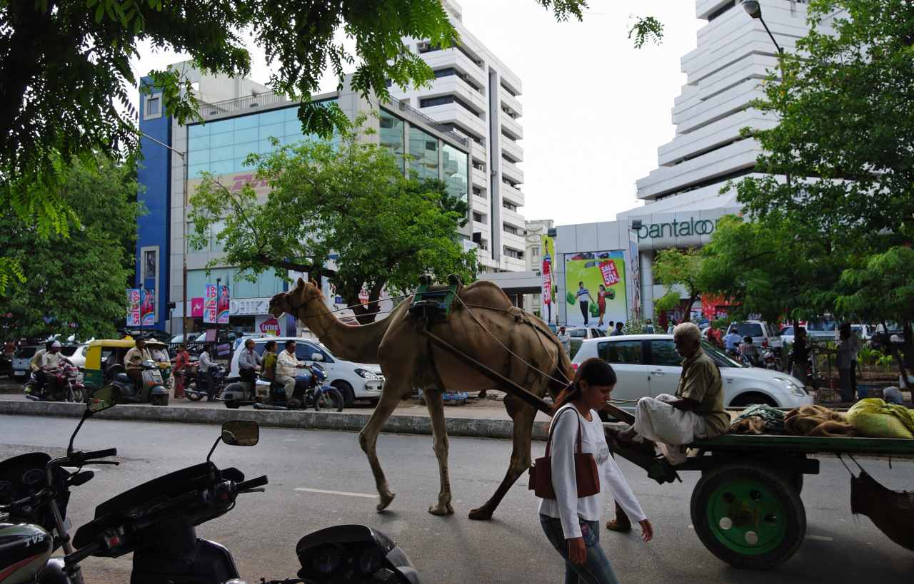 Local traditions - Ahmedabad