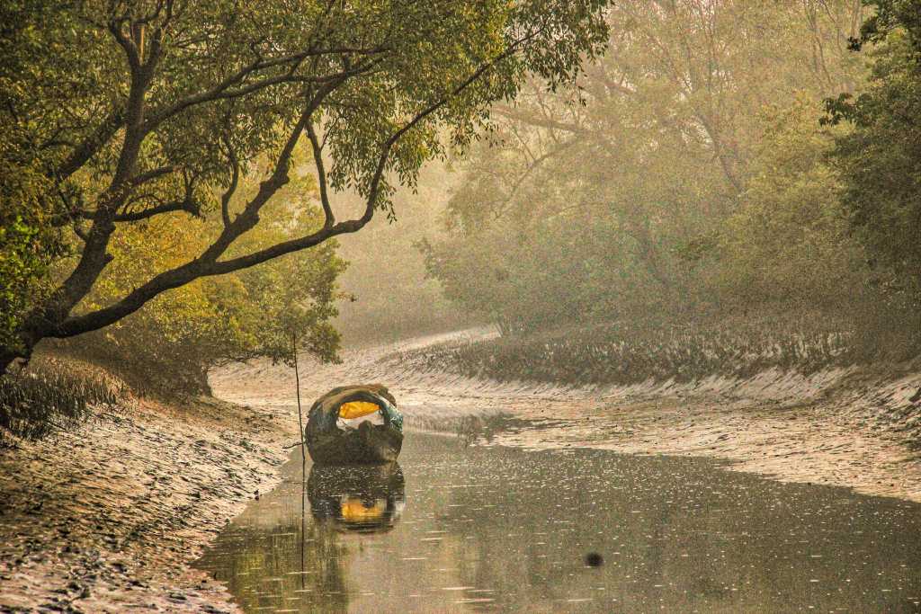 History - Sundarbans