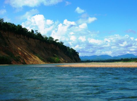 Madidi National Park