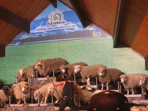 Agrodome