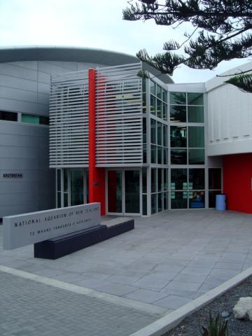 National Aquarium of New Zealand