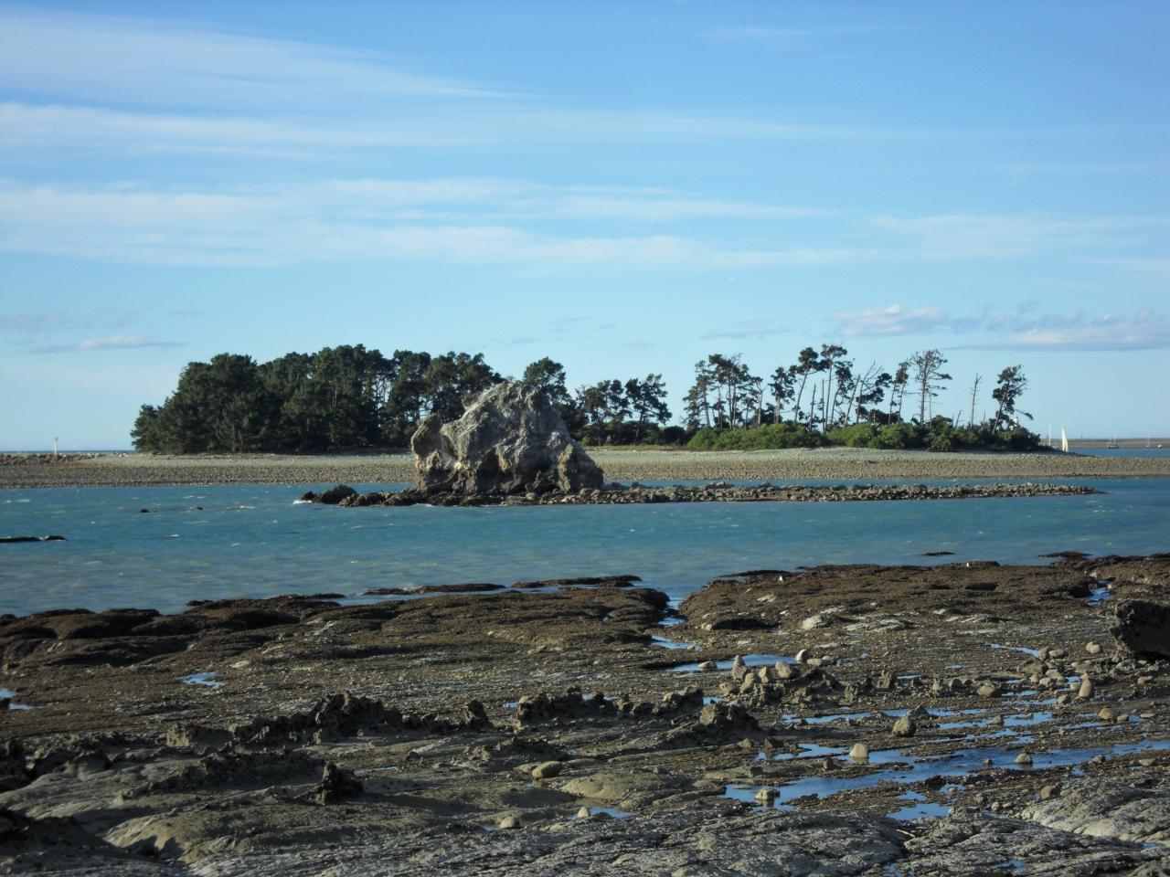 Tahunanui Beach
