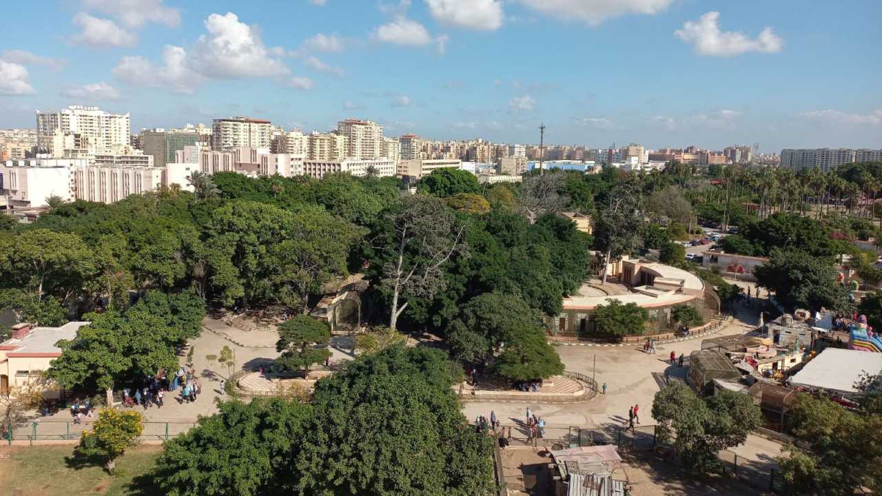 Alexandria Zoo