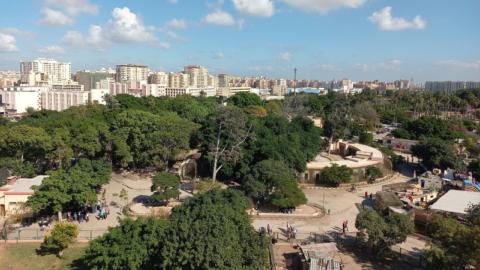 Alexandria Zoo