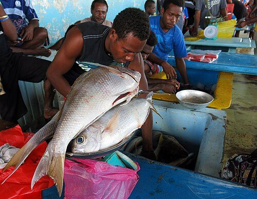 Fresh catches at Honiara's vibrant market