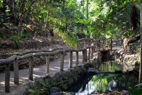 Griffith Park
