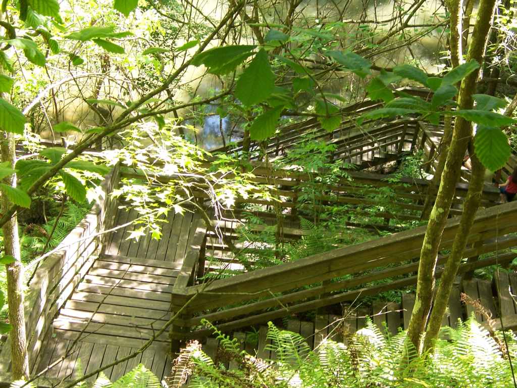 Devil's Millhopper Geological State Park