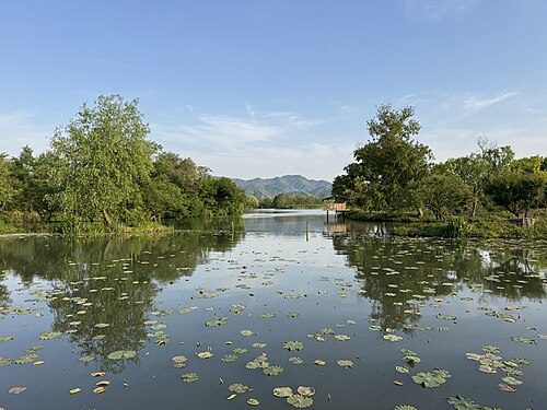 Discover the tranquility of Xixi Wetlands