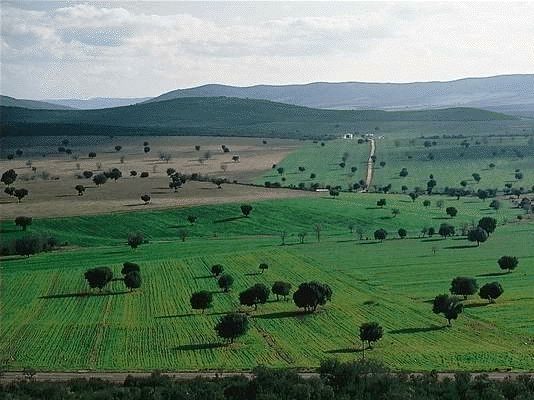 Cabañeros National Park