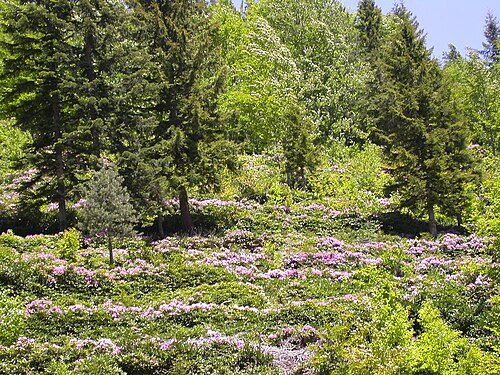 Gümüşhane