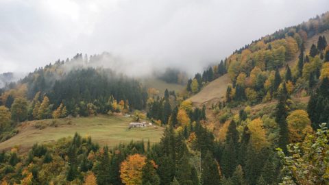 Maçka