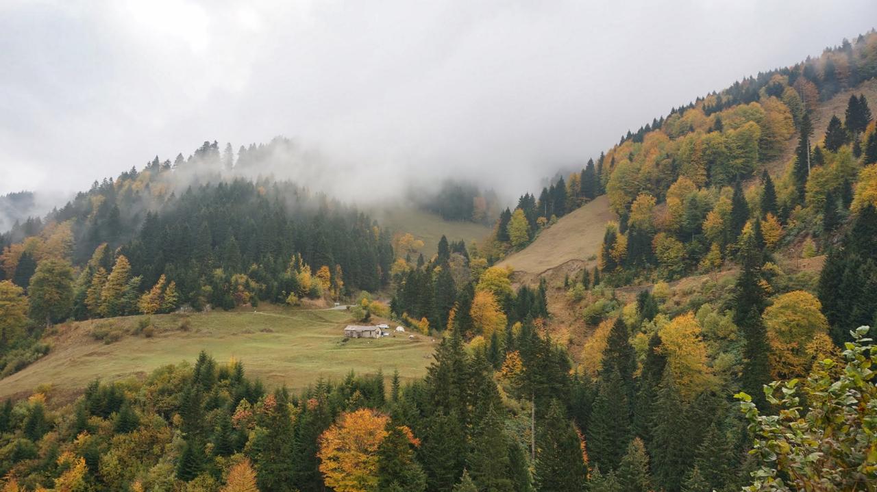 History - Maçka