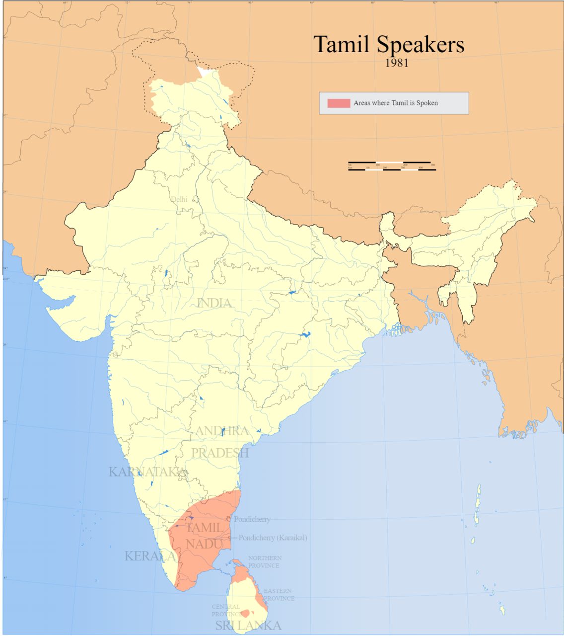Local food and drinks - Chennai