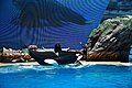 SeaWorld San Diego