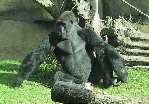 Santa Barbara Zoo