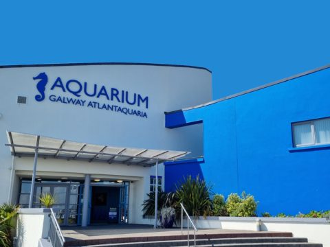 Galway Atlantaquaria