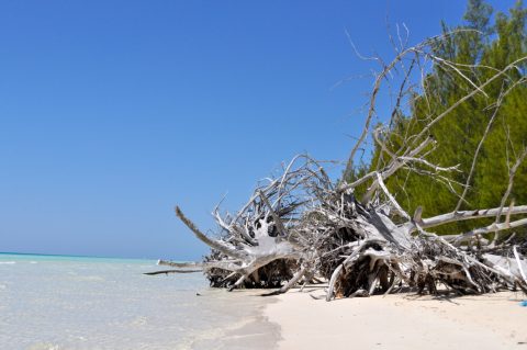 Lucayan National Park