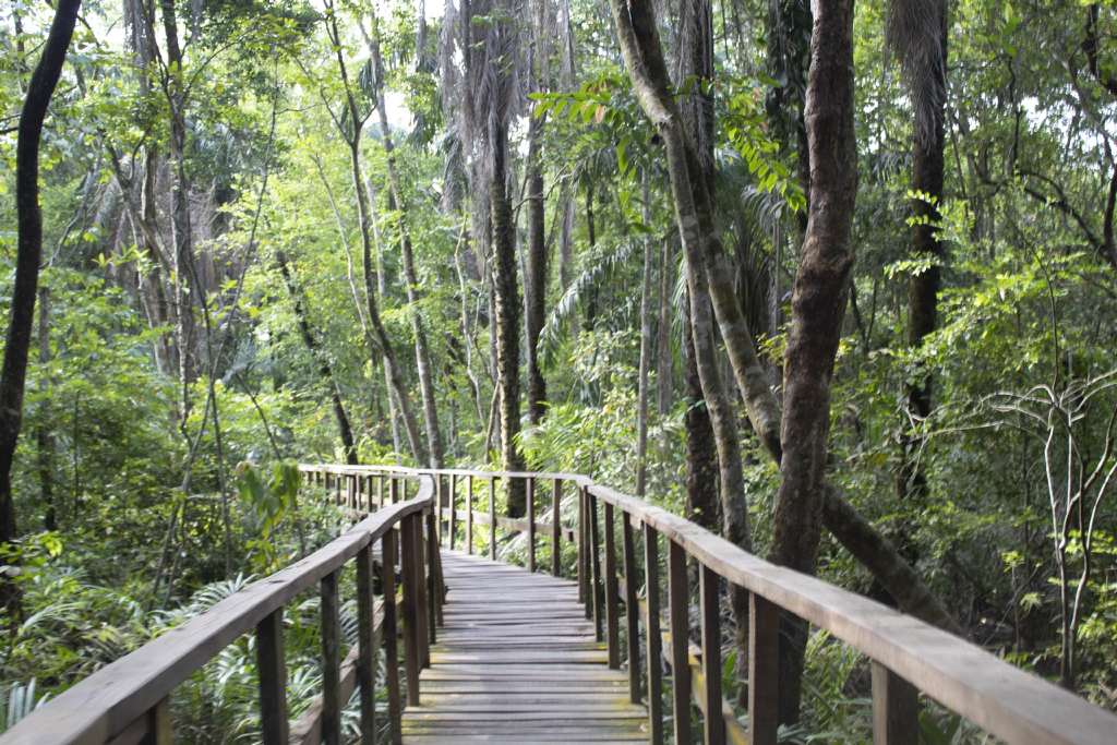 Lekki Conservation Centre