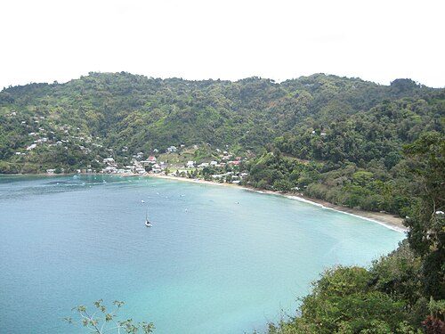 Tobago Main Ridge Forest Reserve