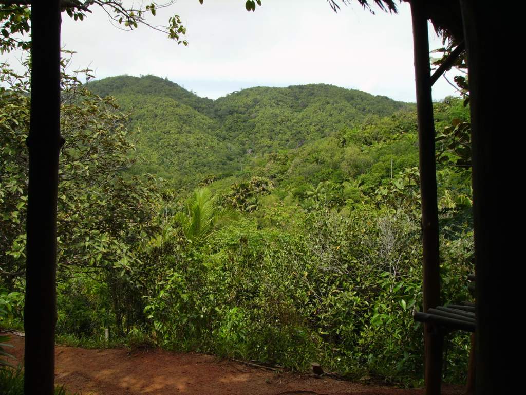 Vallee de Mai
