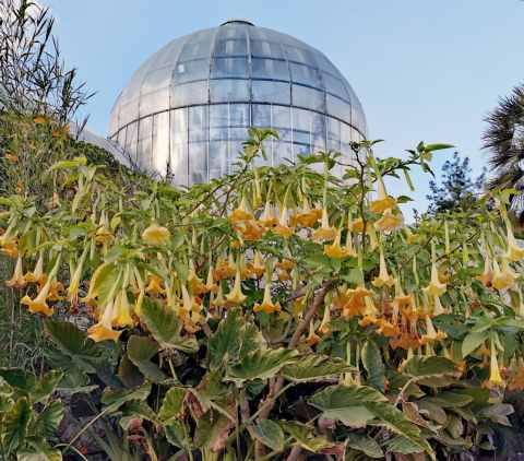 Jerusalem Botanical Gardens