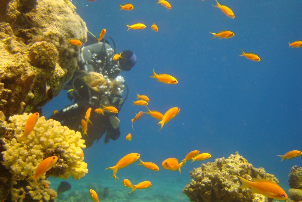 Coral Beach Nature Reserve