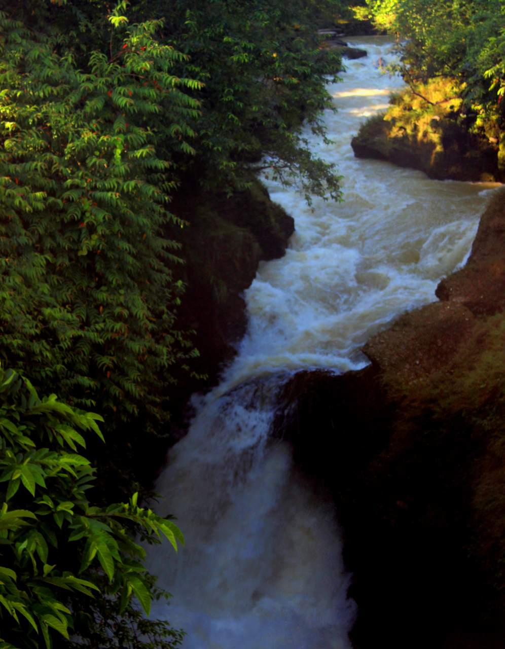 Davis Falls