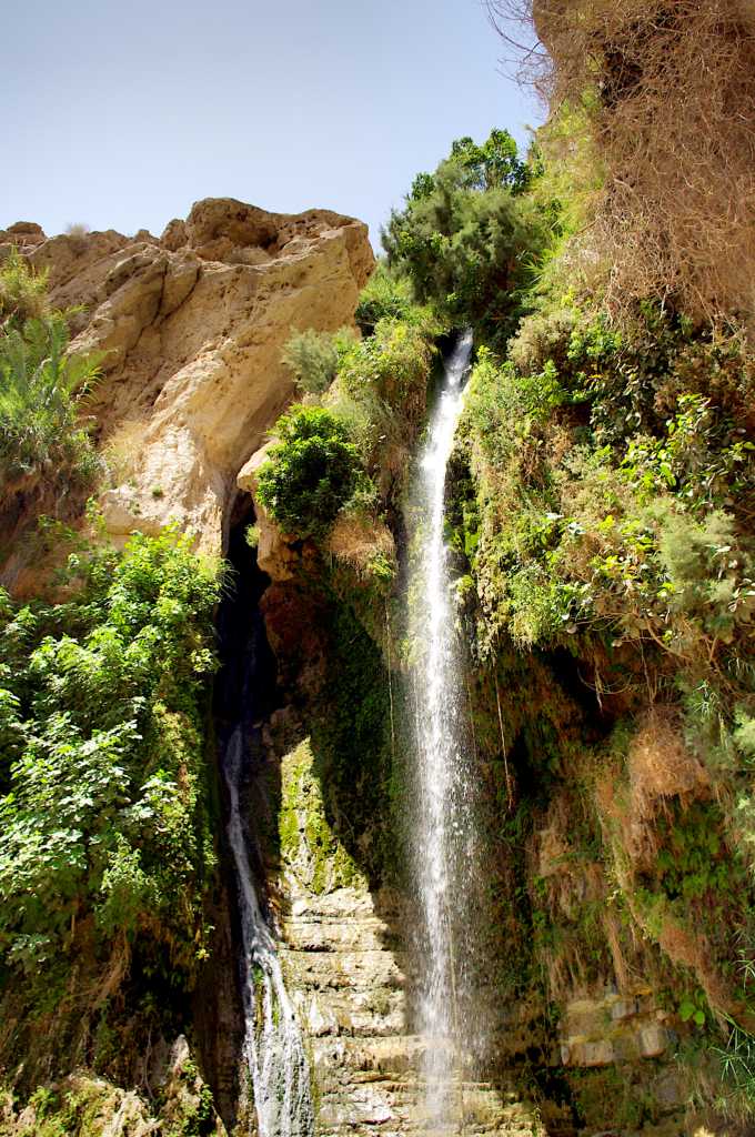 Ein Gedi Nature Reserve