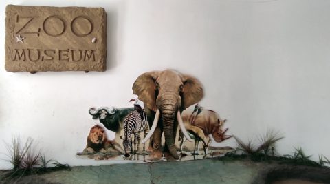 Colombo Zoo