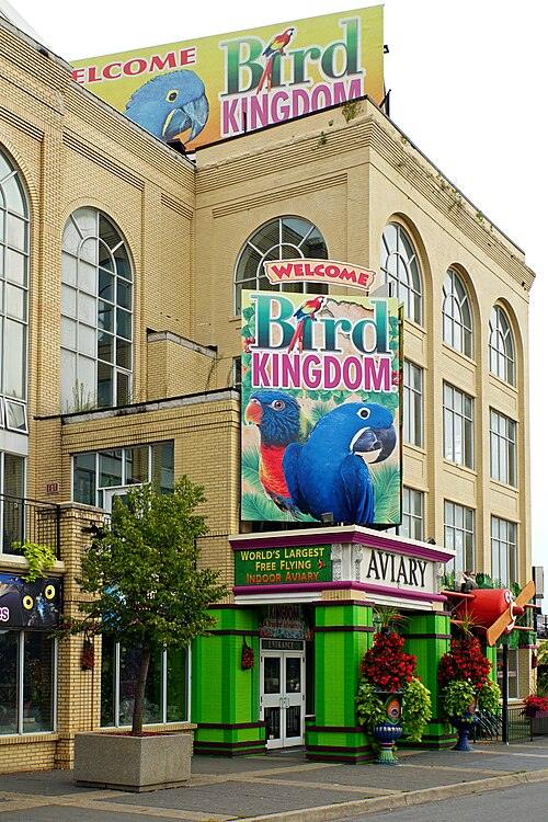 Bird Kingdom