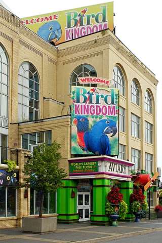 Bird Kingdom
