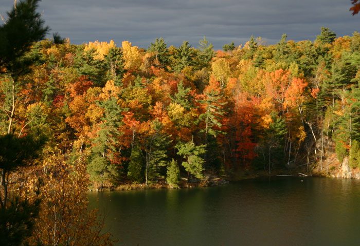 Gatineau Park