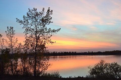 FortWhyte Alive