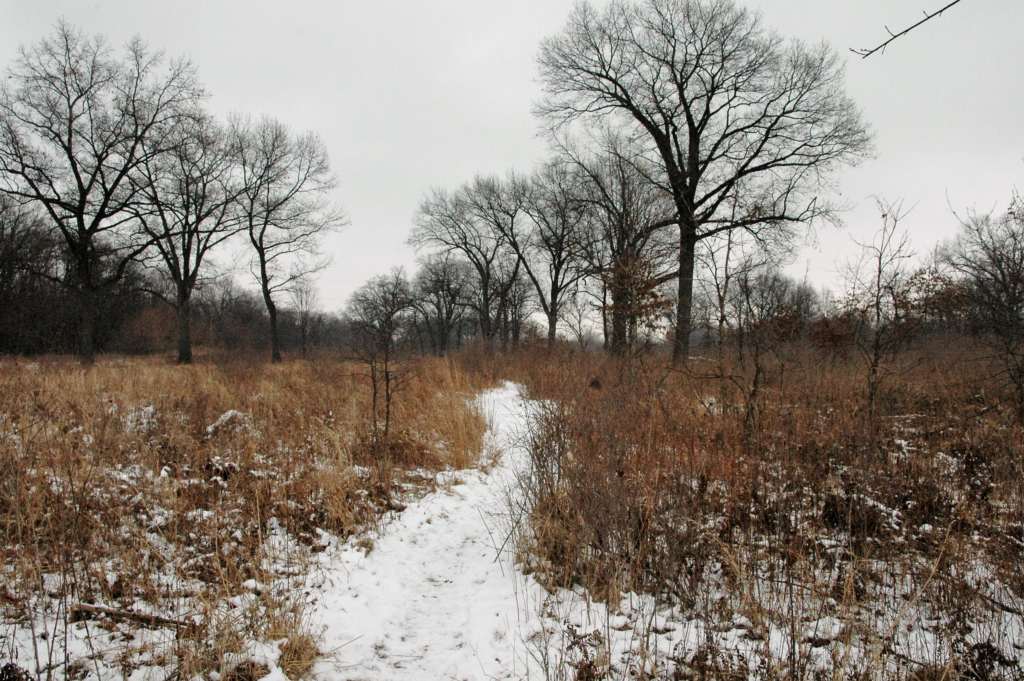 Ojibway Nature Centre