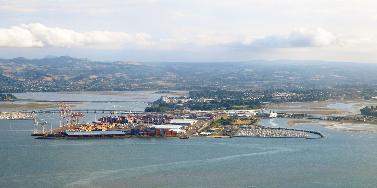 History - Tauranga