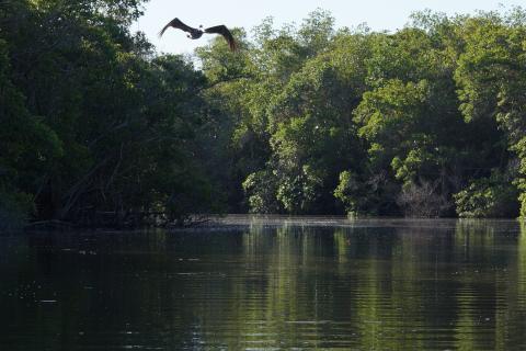 Laguna de Manialtepec